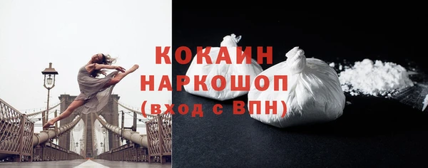 ГАЛЛЮЦИНОГЕННЫЕ ГРИБЫ Богданович