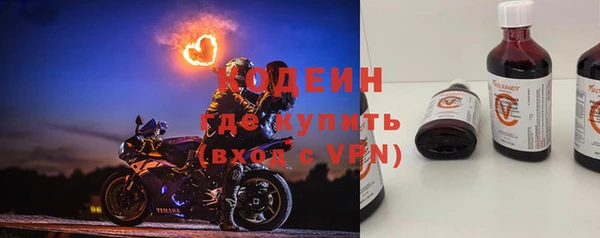 ГАЛЛЮЦИНОГЕННЫЕ ГРИБЫ Богданович