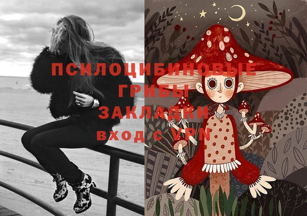 ГАЛЛЮЦИНОГЕННЫЕ ГРИБЫ Богданович