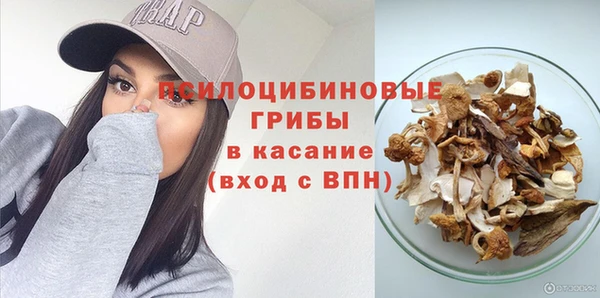 эйфоретик Богородицк