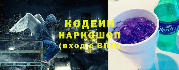 ГАЛЛЮЦИНОГЕННЫЕ ГРИБЫ Богданович
