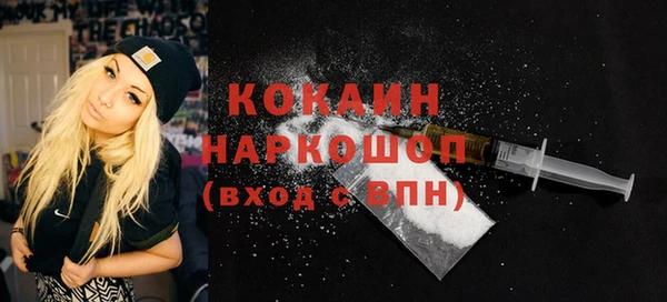 ГАЛЛЮЦИНОГЕННЫЕ ГРИБЫ Богданович