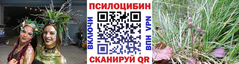 наркота Можга Псилоцибиновые грибы прущие грибы